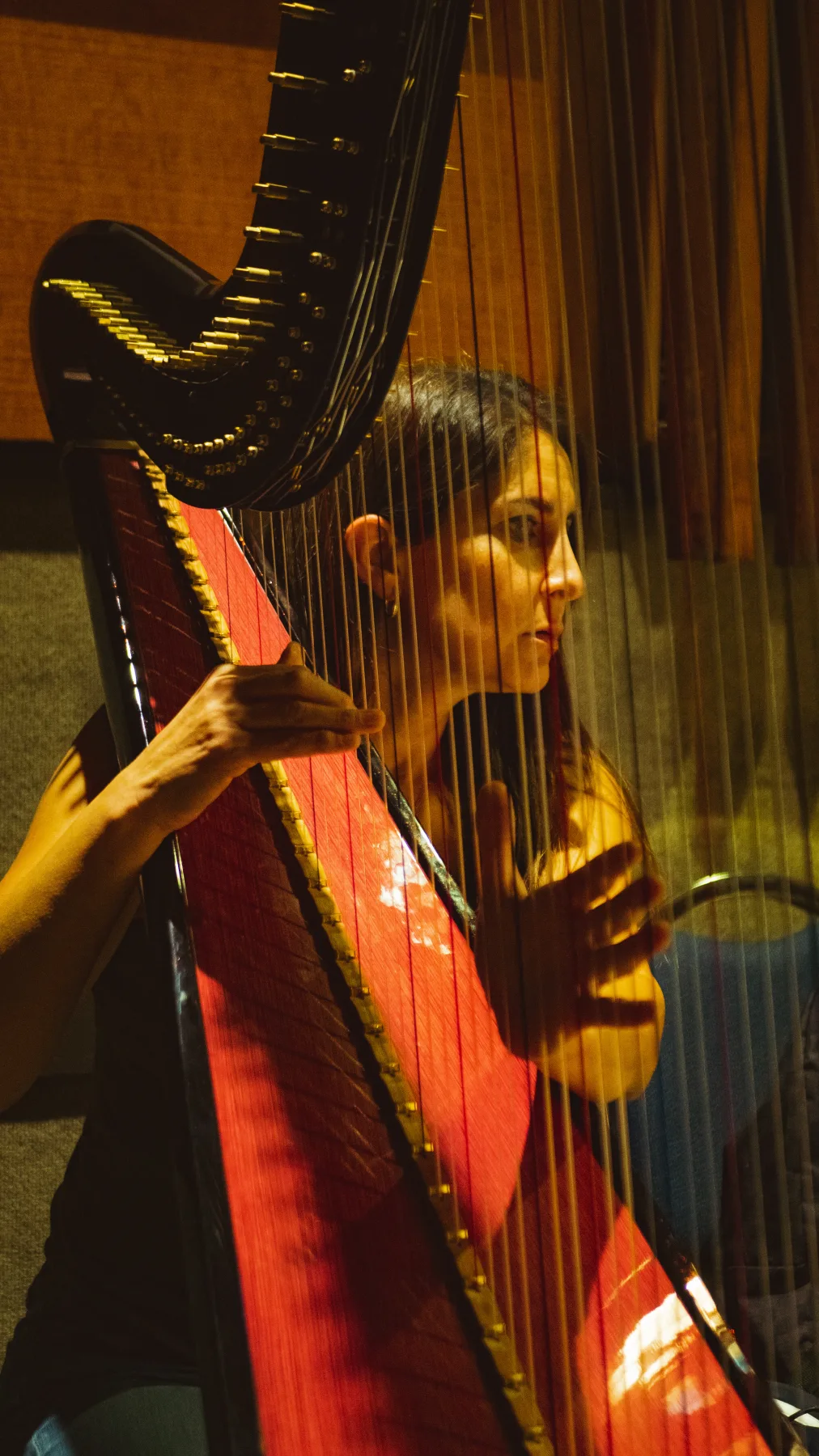 Musician seated behind a harp, framed through harp strings, in a warmly lit recording room.